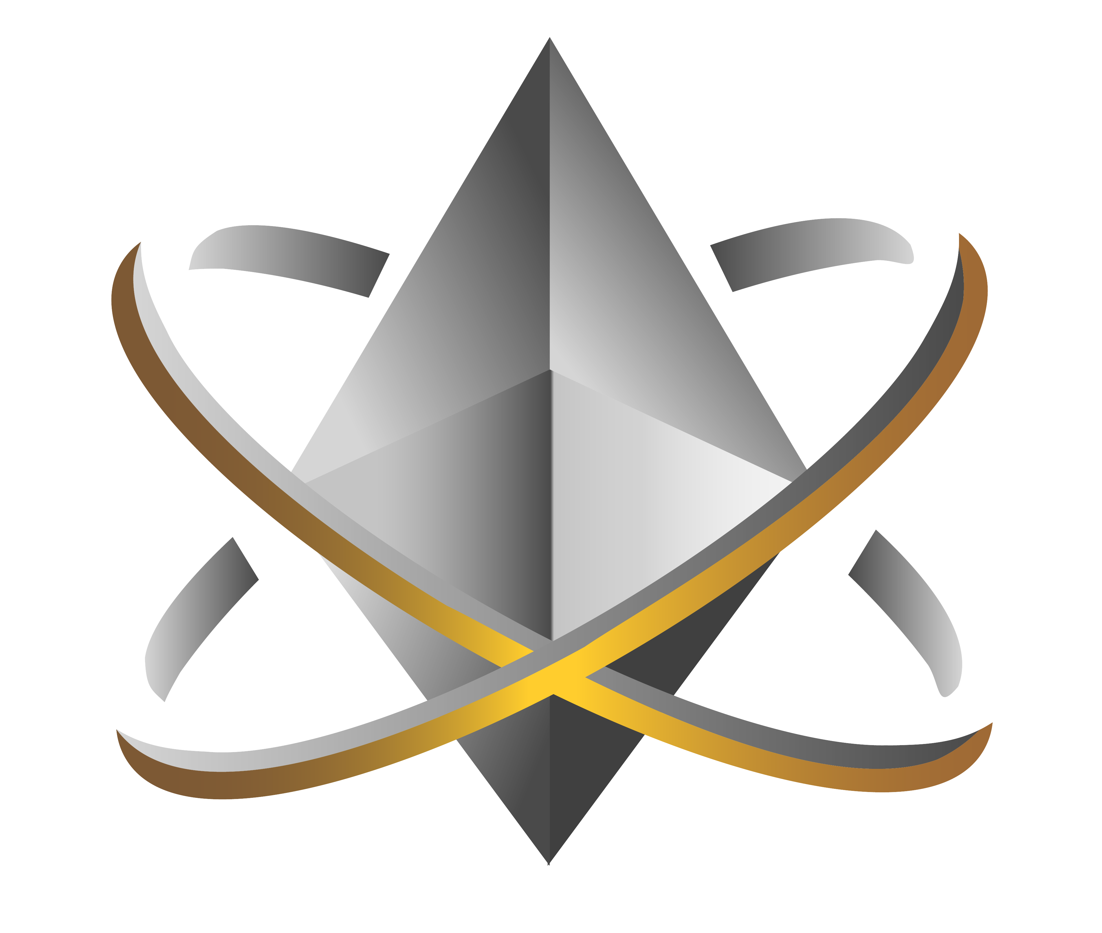 Patient Investor logo